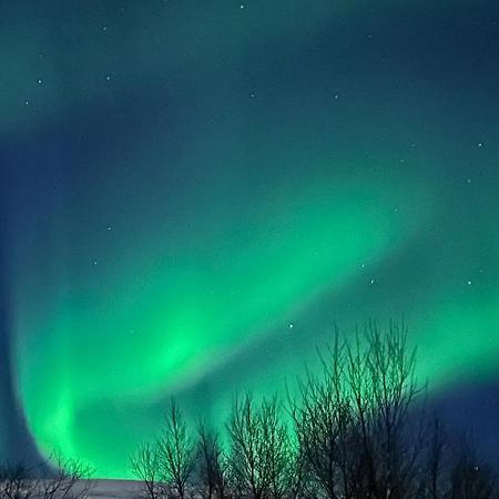 Tromsdalen Aurora Apartments ทรอมโซ ภายนอก รูปภาพ