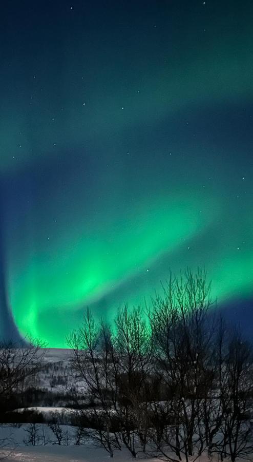 Tromsdalen Aurora Apartments ทรอมโซ ภายนอก รูปภาพ